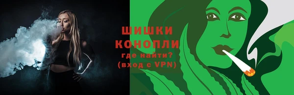 стаф Галич