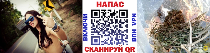 Конопля гибрид Кольчугино